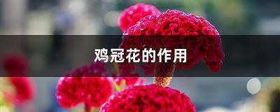 又是一年离别季