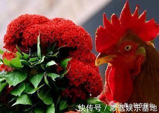 人不可有傲气，但不可无傲骨