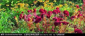 一次成功的尝试