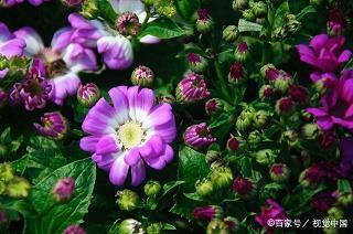 值得珍惜的幸福感