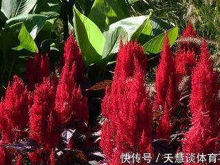虹光普照