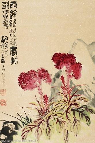 享受夜的宁静