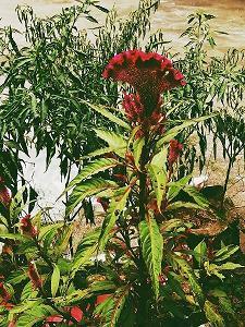 不一样的体会