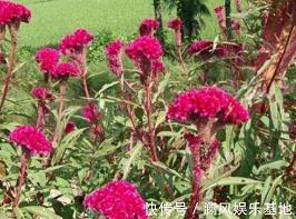 高中英语作文：怎样与人友好相处