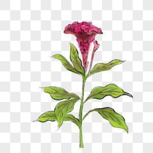 不同寻常的春节