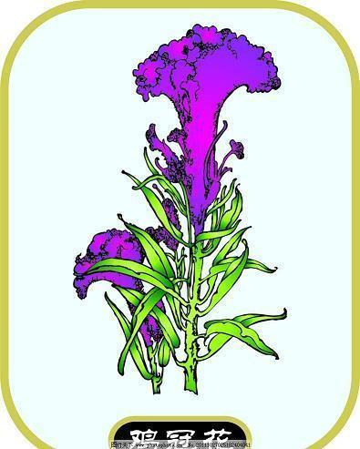 一节作文课