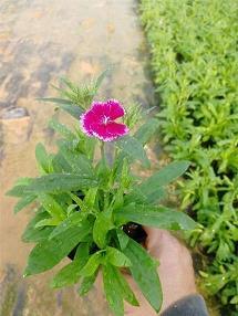 恋上那片天蓝 守护那份宁静