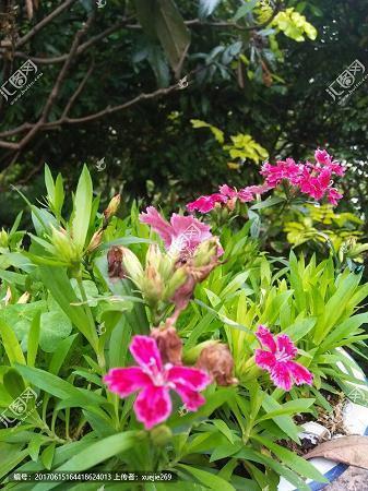 他们依旧幸福