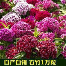 听听我的心声