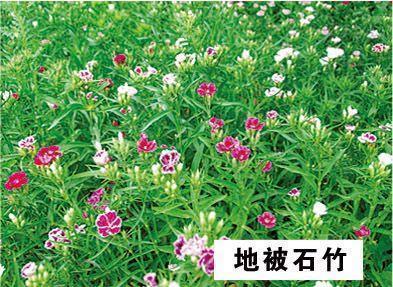 带着阳光，一路前行