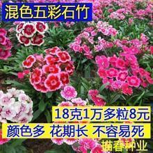 无奈彷徨演绎谁的悲伤