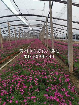关于高一分别作文700字