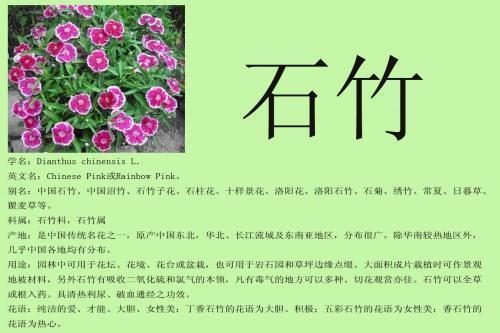 寻找我的江南