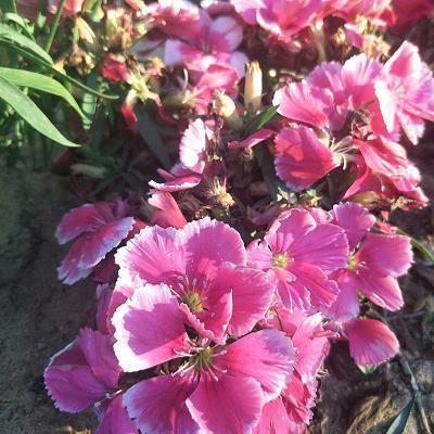 人生第一次的科普夏令营