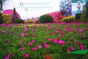 两个女生的友情
