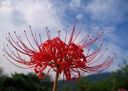 张爱玲经典散文精选
