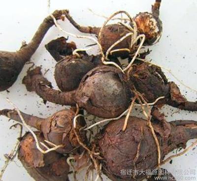 与诗人同行