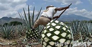 当我流下最后一滴泪
