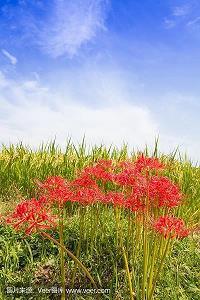 她是谁