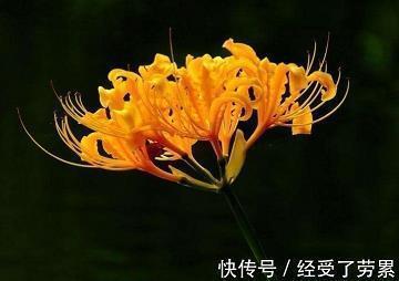 中国梦