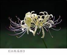 别让时间偷走爱