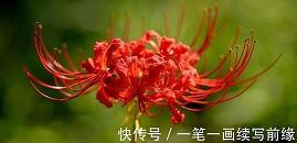 悲惨世界