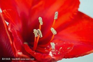 “移“中的学问