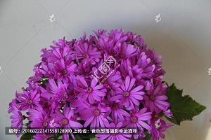 小小的我