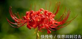 春之舞