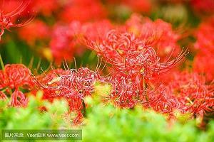 公交车上的目送
