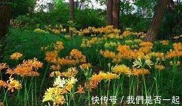 架一座心灵之桥