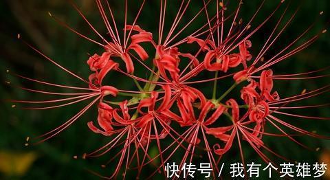 幽幽潇湘 脉脉伊人