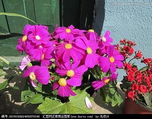 改变自己