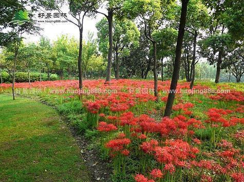 两包货物