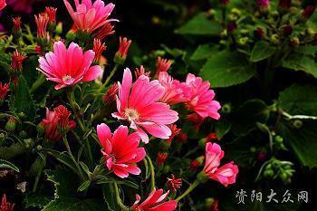 汽车展览会