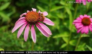 没有人是一座孤岛