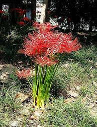 没时间多愁善感