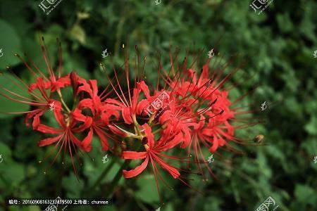 人生的节奏
