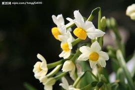 杂感