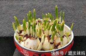 人小，心不小的班长