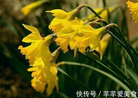 一个塑料袋