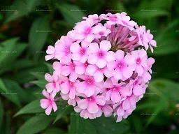 潜能与极限