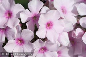 书香阵阵滨海情