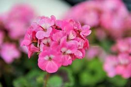 书香陪我走过童年