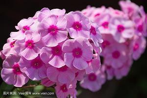 原来我也很自私