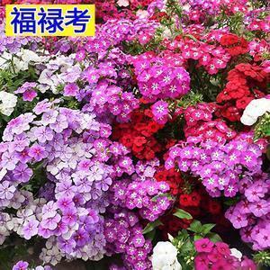 一缕阳光