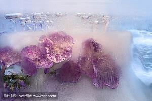 又是学期开学时