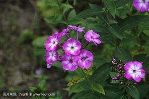 《絮语丝丝》