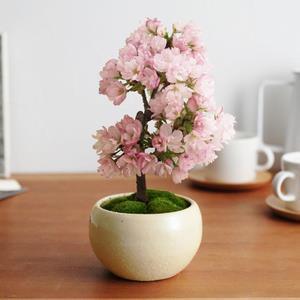 别了.那些花儿