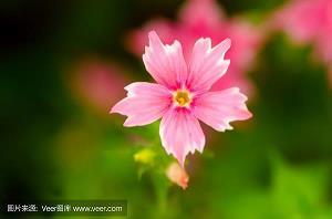 李白，我想对你说